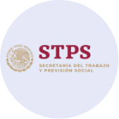 Programa de capacitación certificado ante la STPS